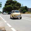 Montevago 2010 (488)
